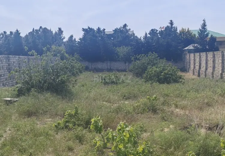 24 sot Torpaq Satılır, Bilgəh qəs., Sabunçu, Bakı