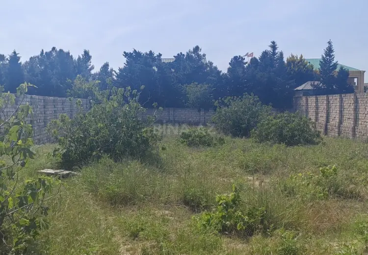 24 sot Torpaq Satılır, Bilgəh qəs., Sabunçu, Bakı