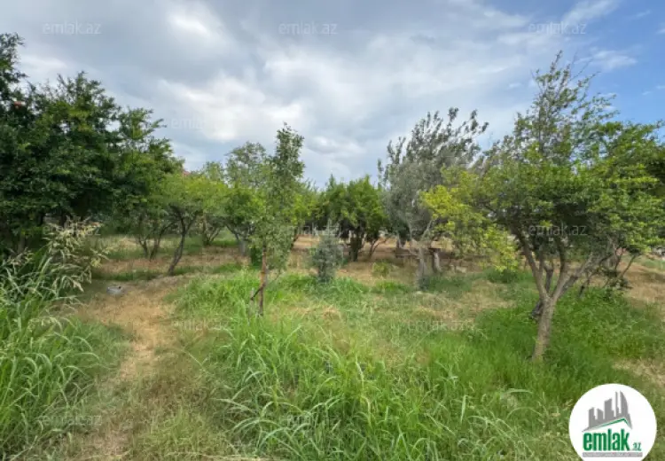 34 sot Torpaq Satılır, Zığ qəs., Suraxanı, Bakı