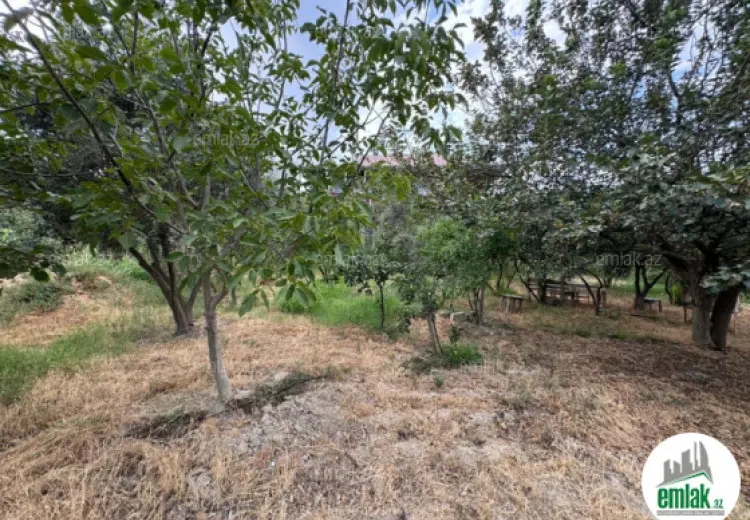 34 sot Torpaq Satılır, Zığ qəs., Suraxanı, Bakı