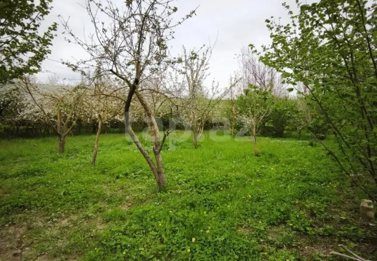 0 m² Obyekt / Ofis , Qusar