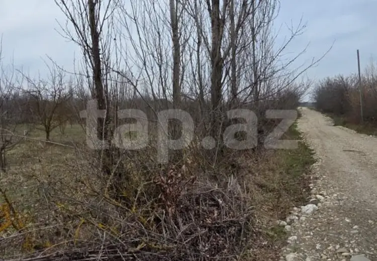 0 m² Obyekt / Ofis , Qusar