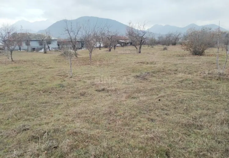 5 sot Torpaq Satılır, Qəbələ