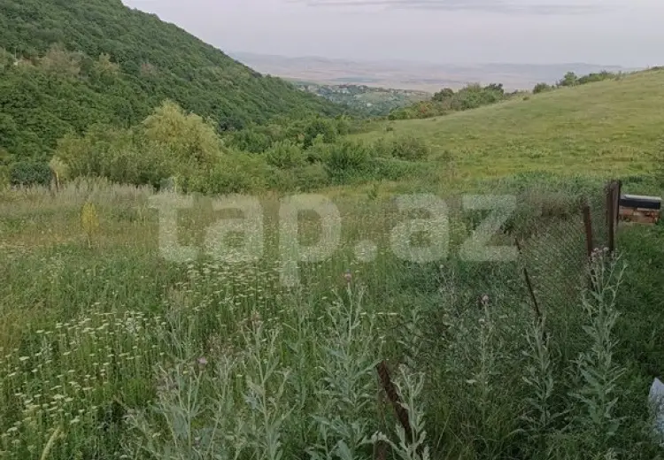 0 m² Obyekt / Ofis , Şamaxı