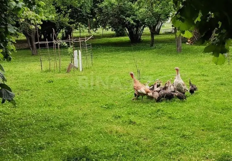 10 sot Torpaq Satılır, İsmayıllı