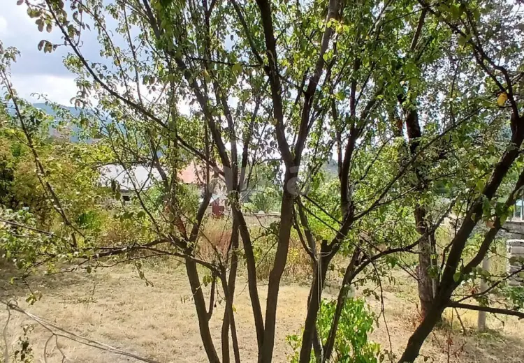 3 otaqlı mənzil , Oğuz