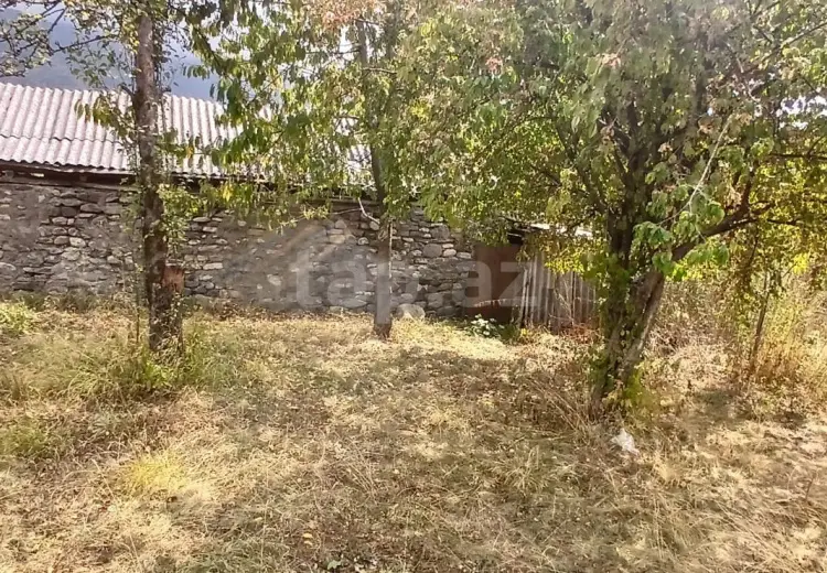 3 otaqlı mənzil , Oğuz