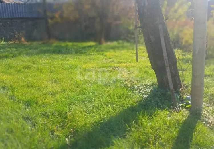 3 otaqlı mənzil , Oğuz
