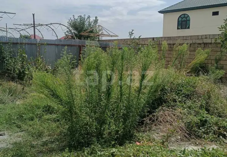 3 otaqlı mənzil , Qəbələ