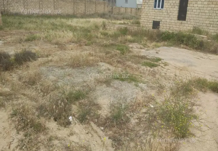 2.25 sot Torpaq Satılır, Saray, Abşeron