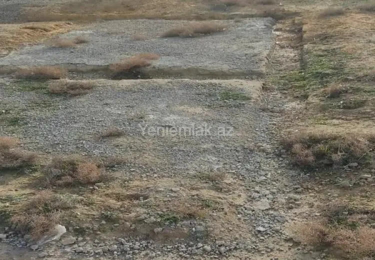 2.25 sot Torpaq Satılır, Saray, Abşeron