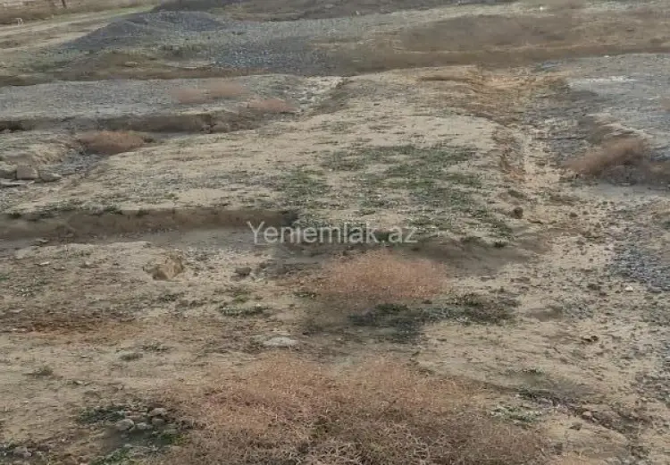 2.25 sot Torpaq Satılır, Saray, Abşeron