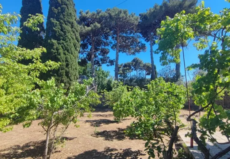 25 sot Torpaq Satılır, Nardaran qəs., Sabunçu, Bakı