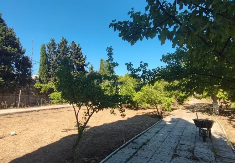 25 sot Torpaq Satılır, Nardaran qəs., Sabunçu, Bakı