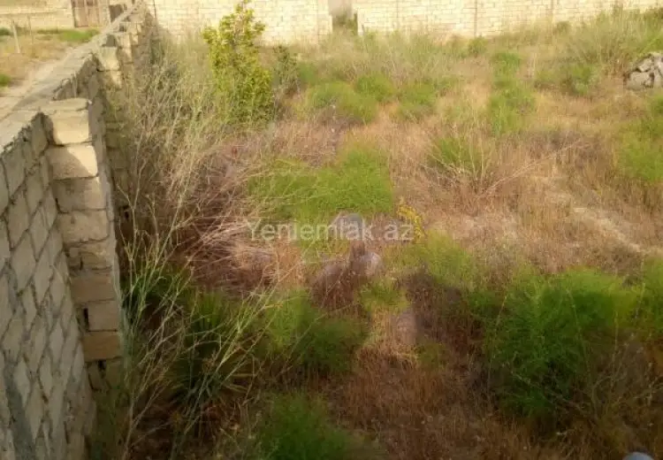12 sot Torpaq Satılır, Nardaran qəs., Sabunçu, Bakı