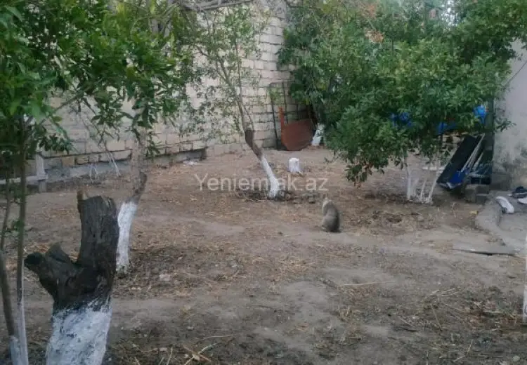 4.5 sot Torpaq Satılır, Binəqədi qəs., Binəqədi, Bakı