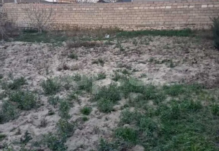 0 m² Obyekt / Ofis , Bilgəh qəs., Sabunçu, Bakı