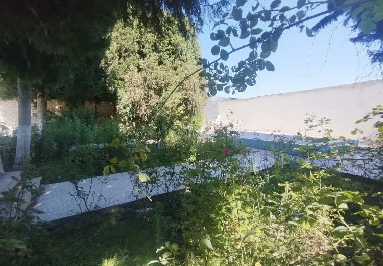 5 sot Torpaq Satılır, Mərdəkan, Xəzər, Bakı