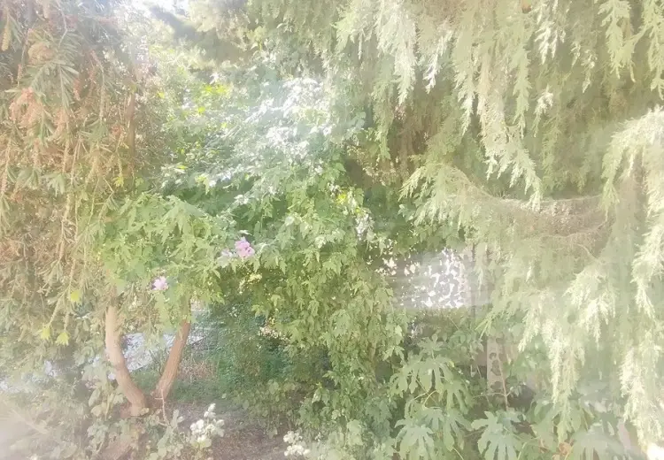 5 sot Torpaq Satılır, Mərdəkan, Xəzər, Bakı
