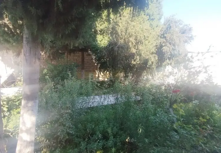 5 sot Torpaq Satılır, Mərdəkan, Xəzər, Bakı