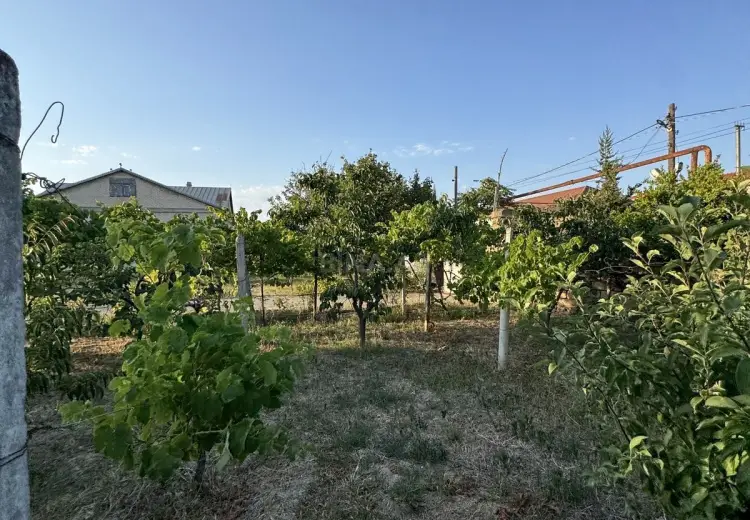 2 sot Torpaq Satılır, Goradil, Abşeron