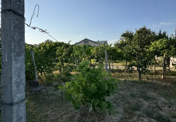 2 sot Torpaq Satılır, Goradil, Abşeron