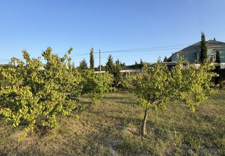 4 sot Torpaq Satılır, Goradil, Abşeron