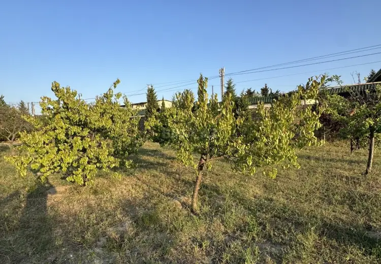 4 sot Torpaq Satılır, Goradil, Abşeron