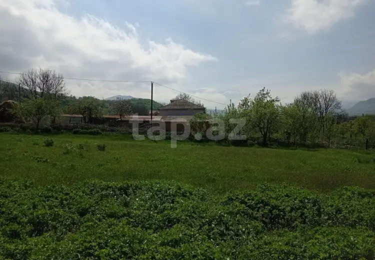 0 m² Obyekt / Ofis , Qusar