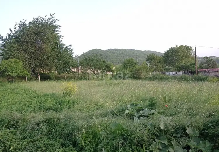 0 m² Obyekt / Ofis , Qusar