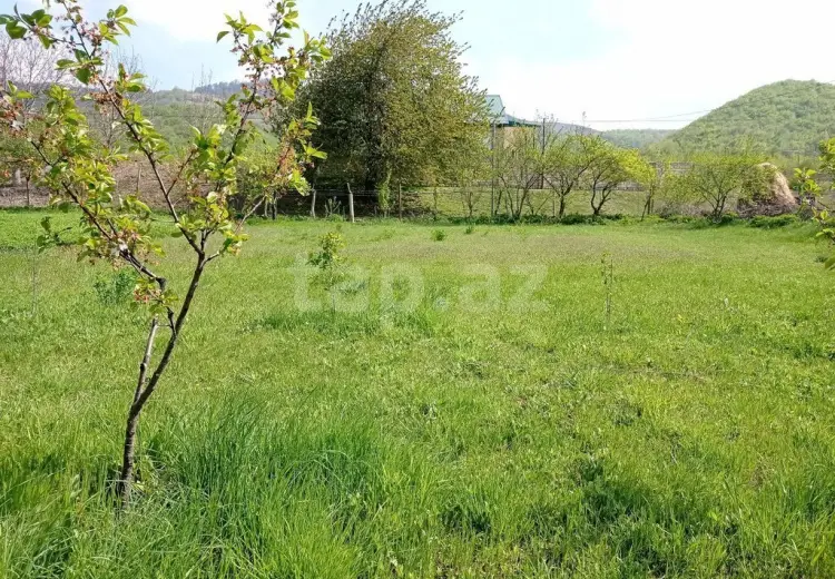 0 m² Obyekt / Ofis , Qusar