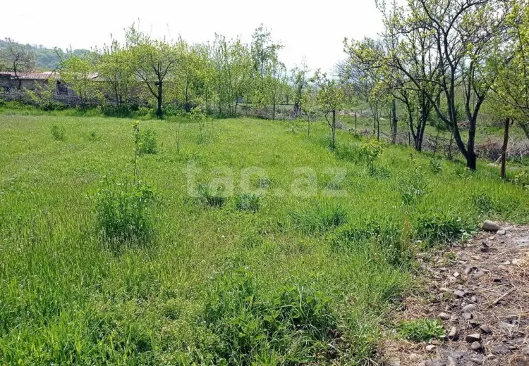 0 m² Obyekt / Ofis , Qusar