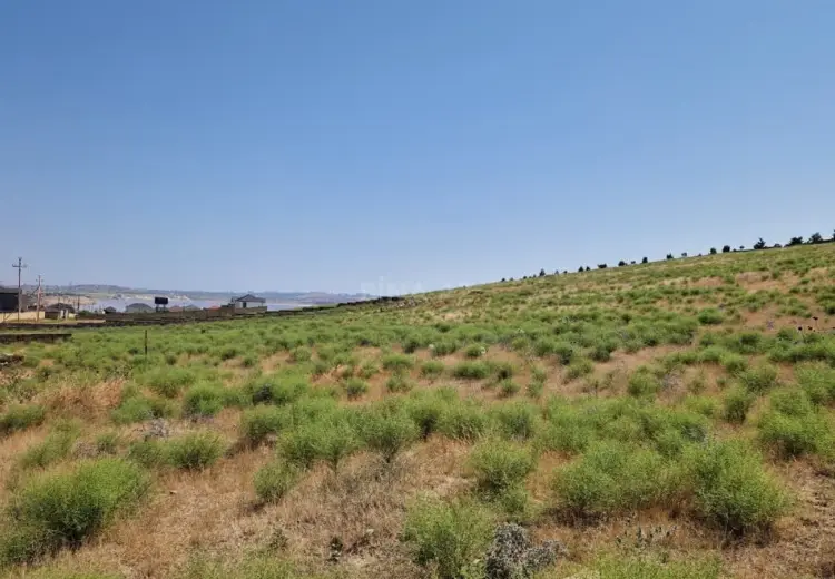 10 sot Torpaq Satılır, Novxanı, Abşeron