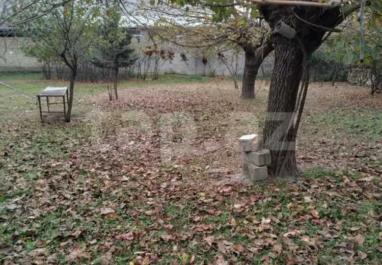 0 m² Obyekt / Ofis , Şəki