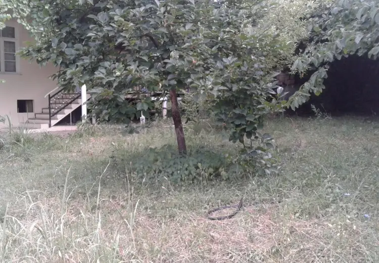 3 otaqlı mənzil Satılır, Qax