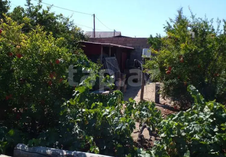 0 m² Obyekt / Ofis , Qala, Xəzər, Bakı