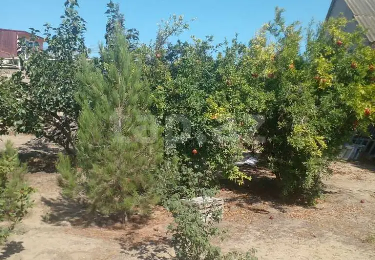 0 m² Obyekt / Ofis , Qala, Xəzər, Bakı