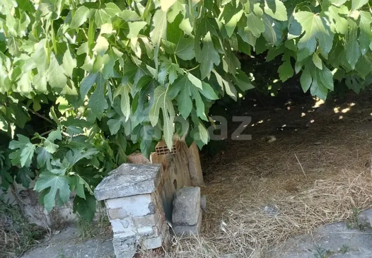 3 otaqlı mənzil , Sumqayıt