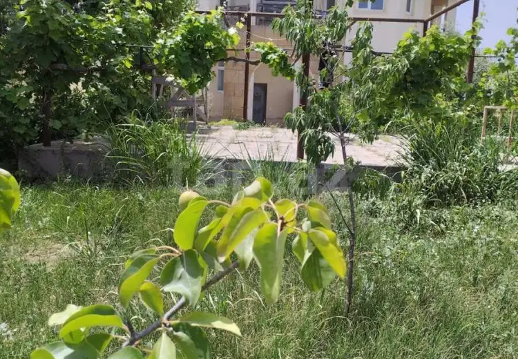 3 otaqlı mənzil , Albalı qəs., Sabunçu, Bakı