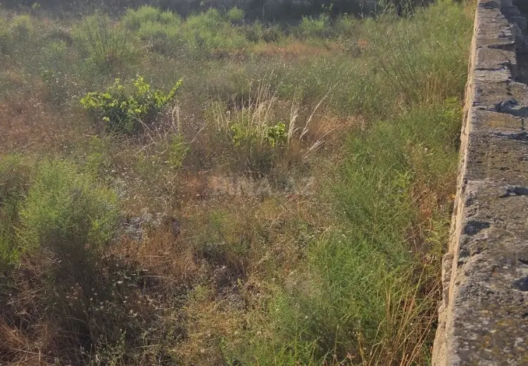 13 sot Torpaq Satılır, Nardaran qəs., Sabunçu, Bakı
