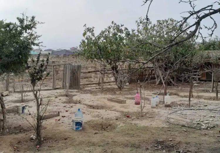 5 sot Torpaq Satılır, Novxanı, Abşeron