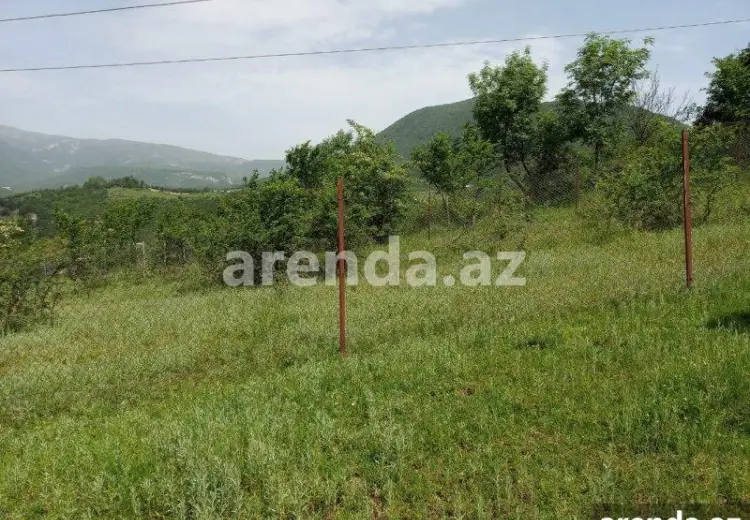 12 sot Torpaq Satılır, Şamaxı