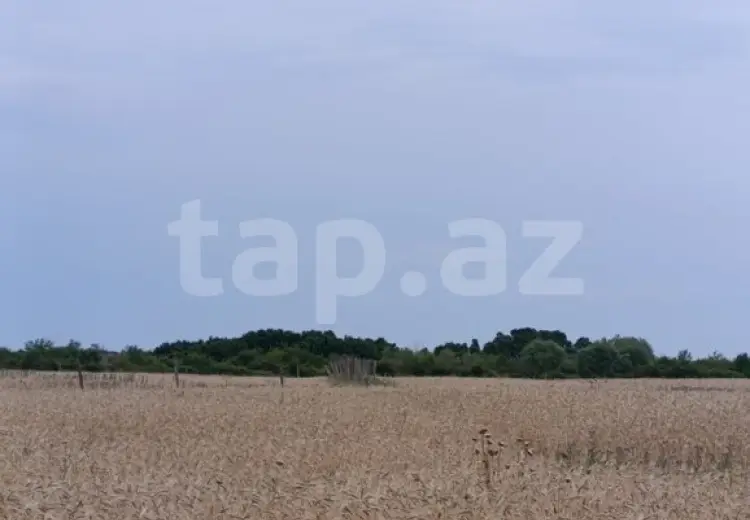 0 m² Obyekt / Ofis , Xaçmaz