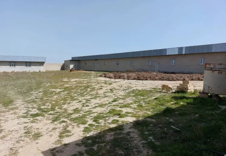0 m² Obyekt / Ofis , Xızı