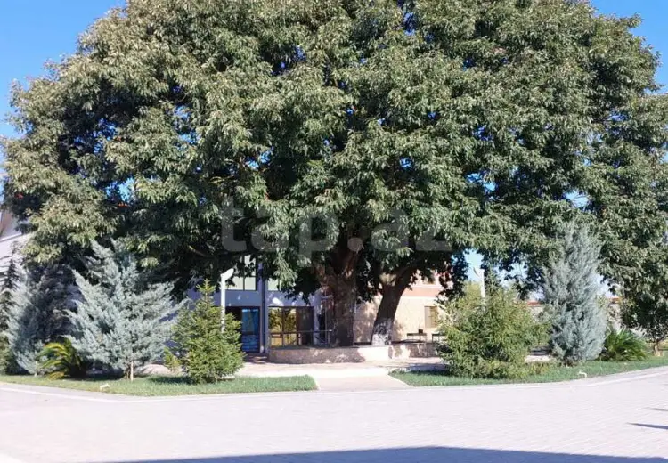 3 otaqlı mənzil , Astara