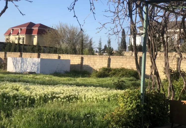 5 sot Torpaq Satılır, Saray, Abşeron