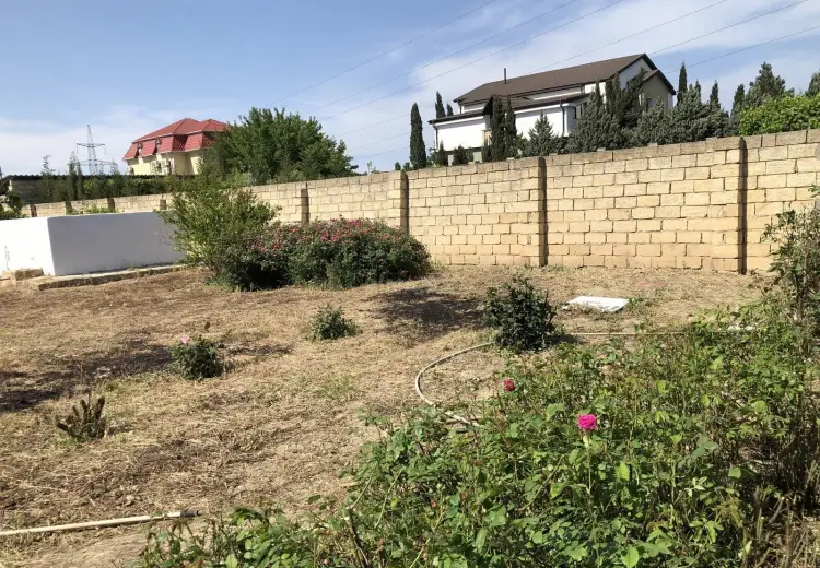 5 sot Torpaq Satılır, Saray, Abşeron