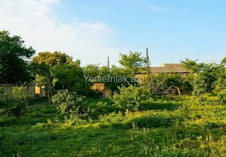 9 sot Torpaq Satılır, Novxanı, Abşeron