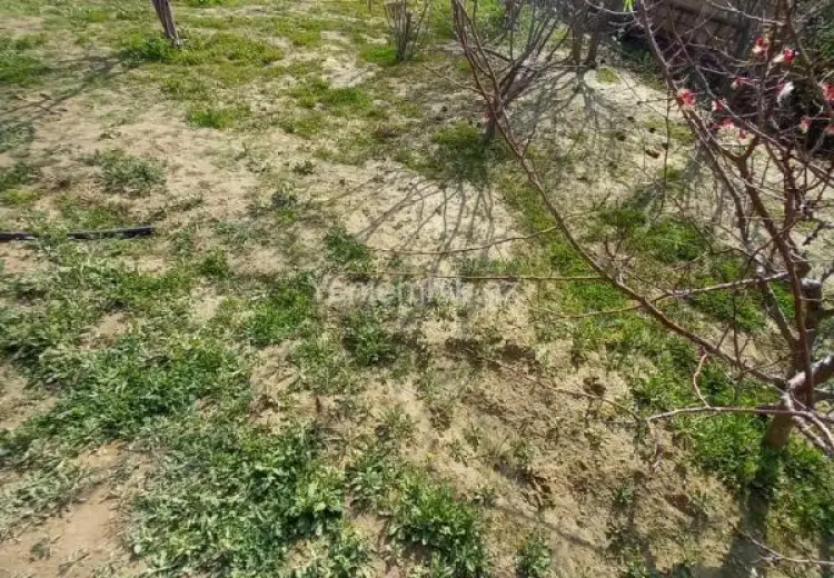 4 sot Torpaq Satılır, 20-ci mikrorayon, Sumqayıt