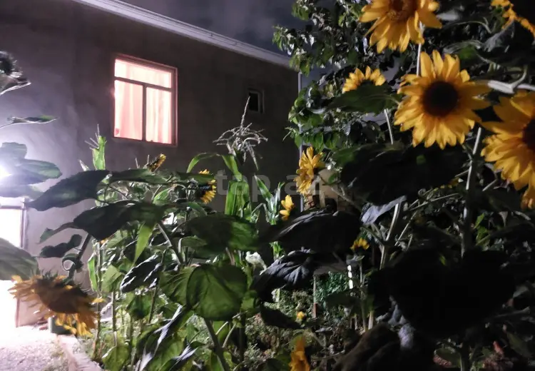 3 otaqlı mənzil , Sumqayıt